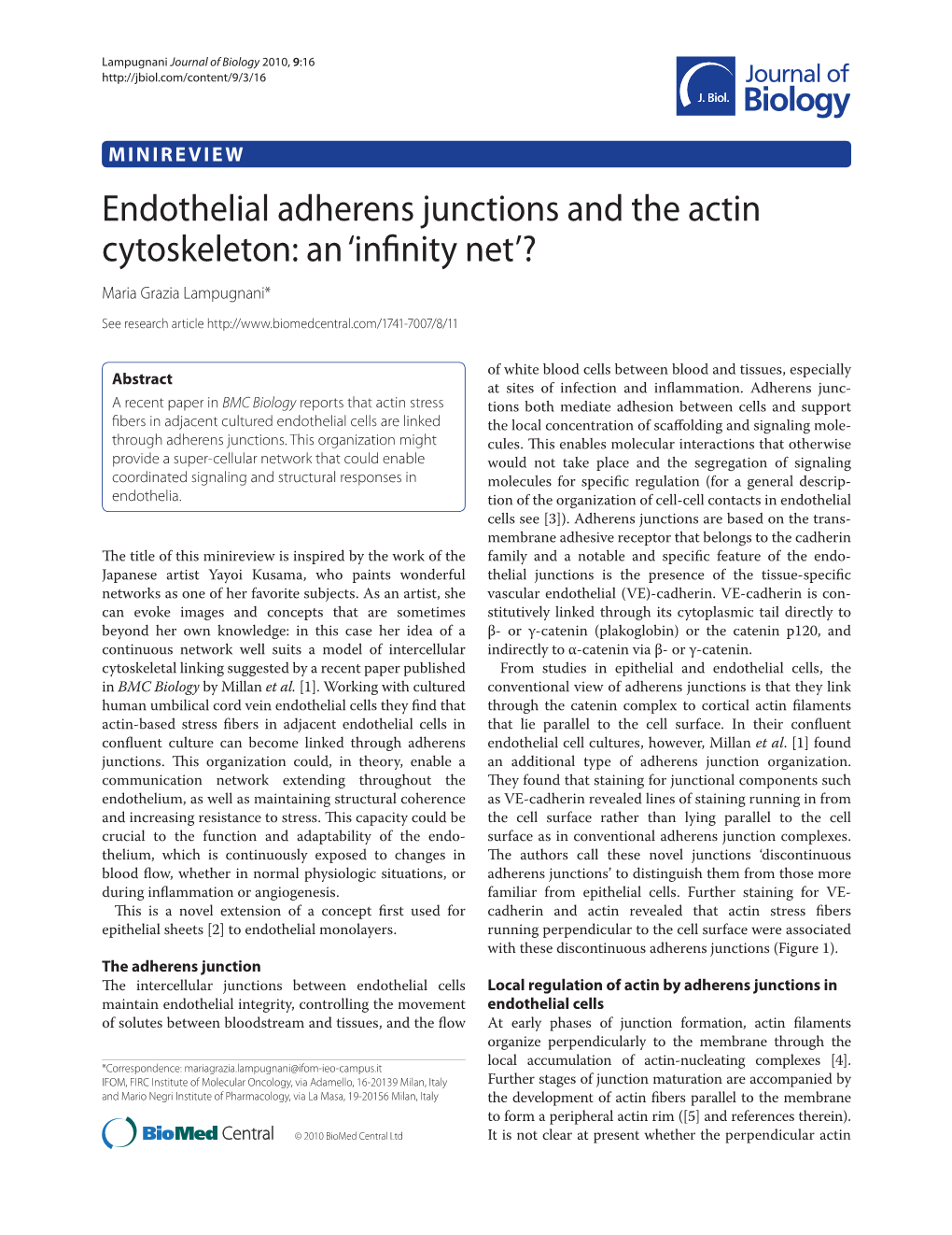 Endothelial Adherens Junctions and the Actin Cytoskeleton: an ‘Inﬁnity Net’? Maria Grazia Lampugnani*