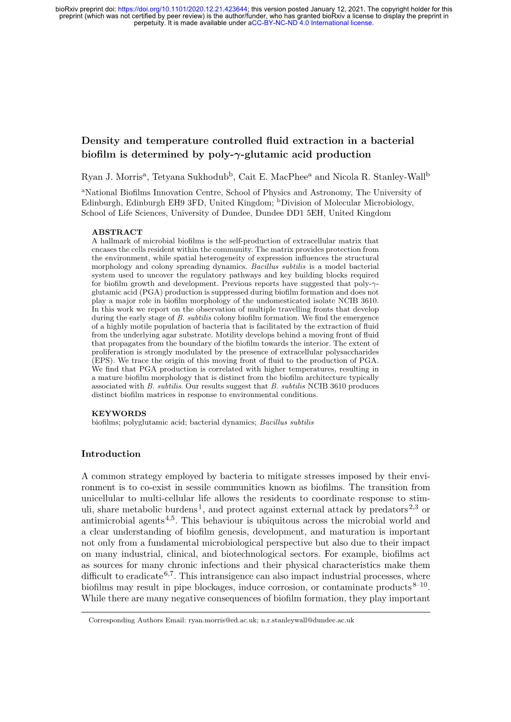 Density and Temperature Controlled Fluid Extraction in a Bacterial Biofilm