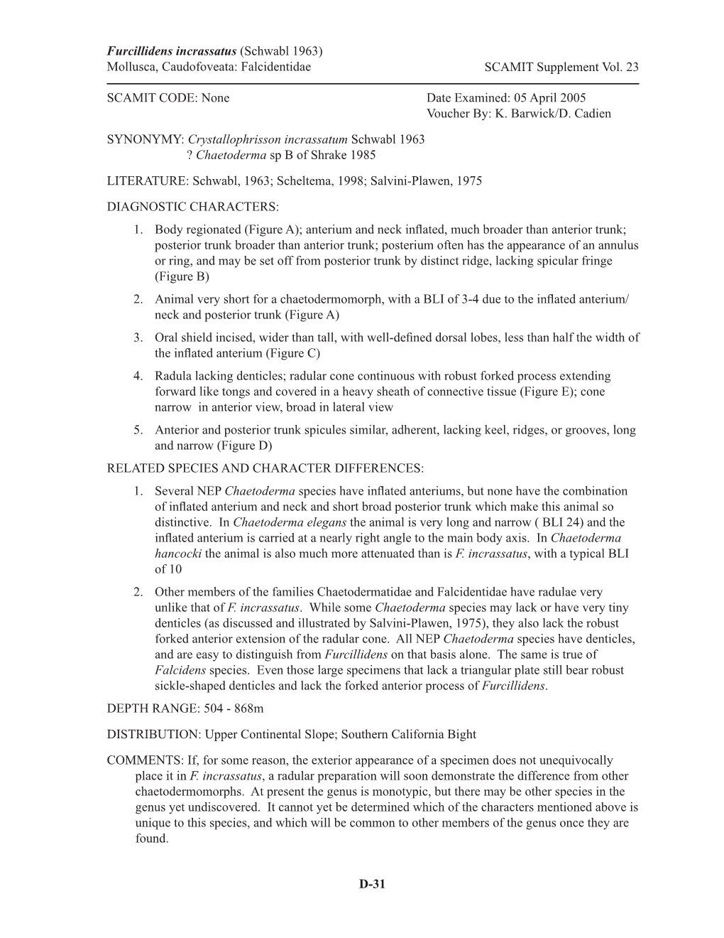 Furcillidens Incrassatus (Schwabl 1963) Mollusca, Caudofoveata: Falcidentidae SCAMIT Supplement Vol