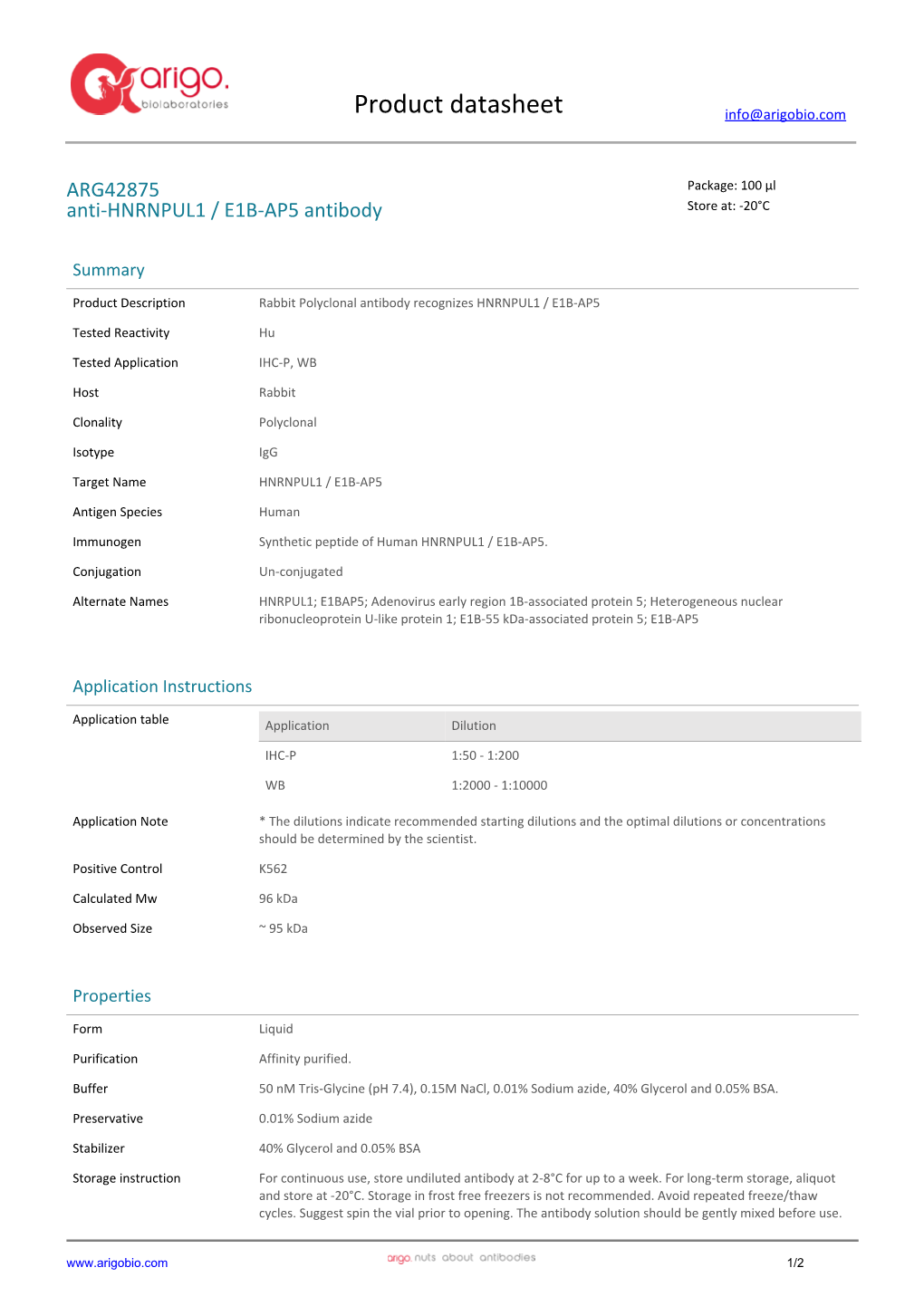 Anti-HNRNPUL1 / E1B-AP5 Antibody (ARG42875)