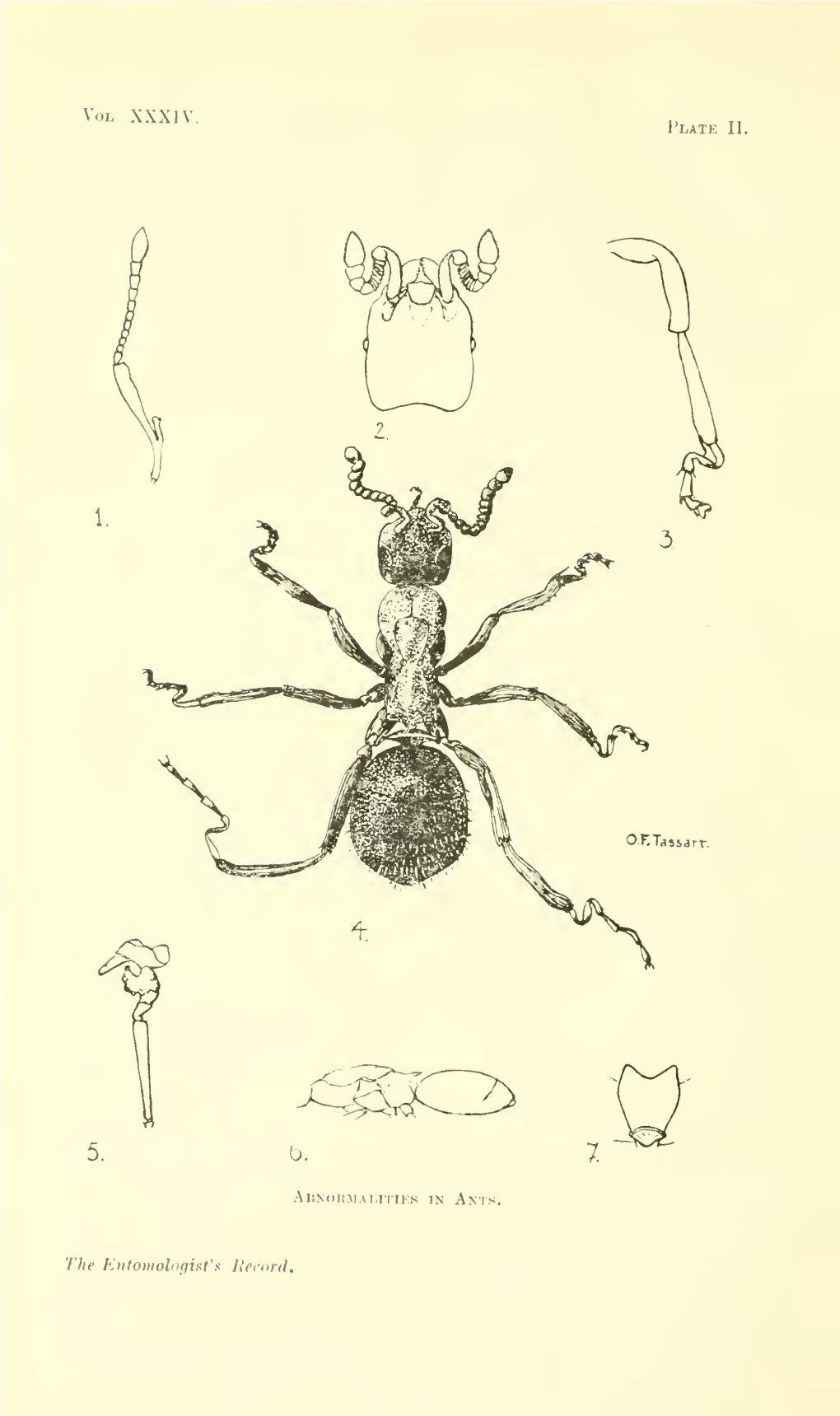 The Entomologist's Record and Journal of Variation