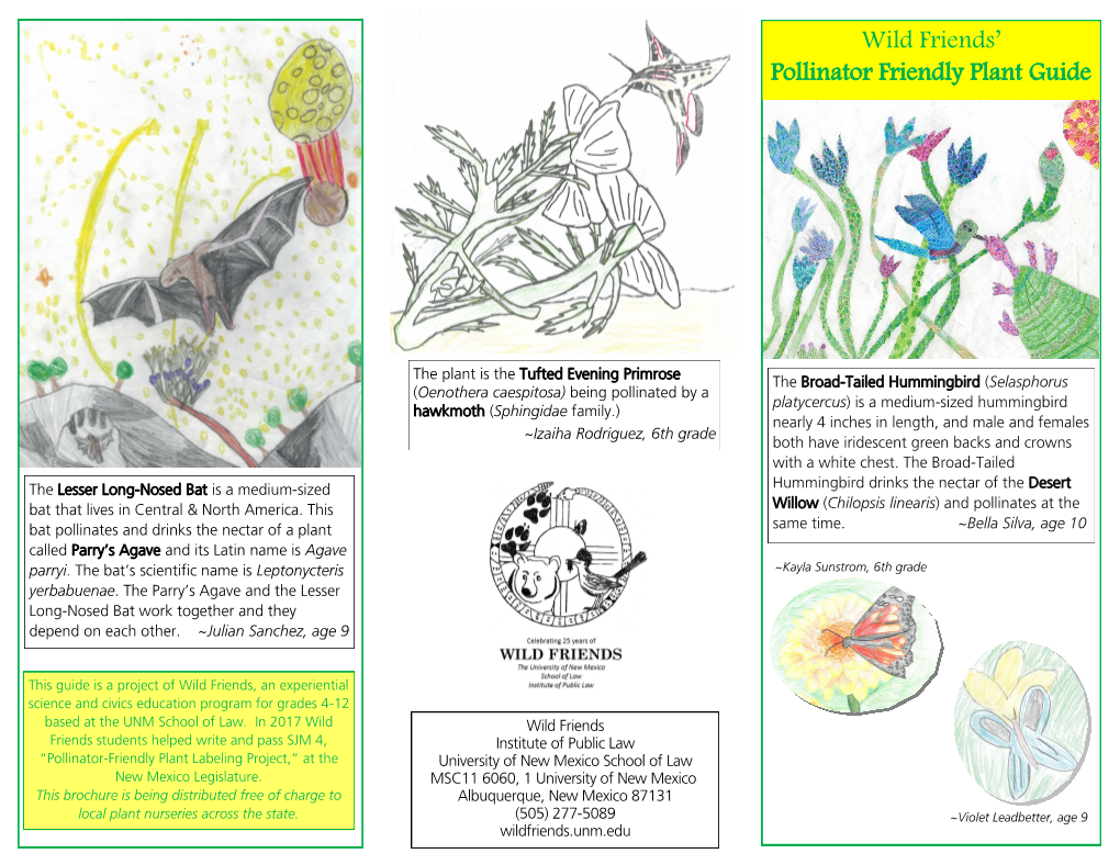 Wild Friends' Pollinator Friendly Plant Guide