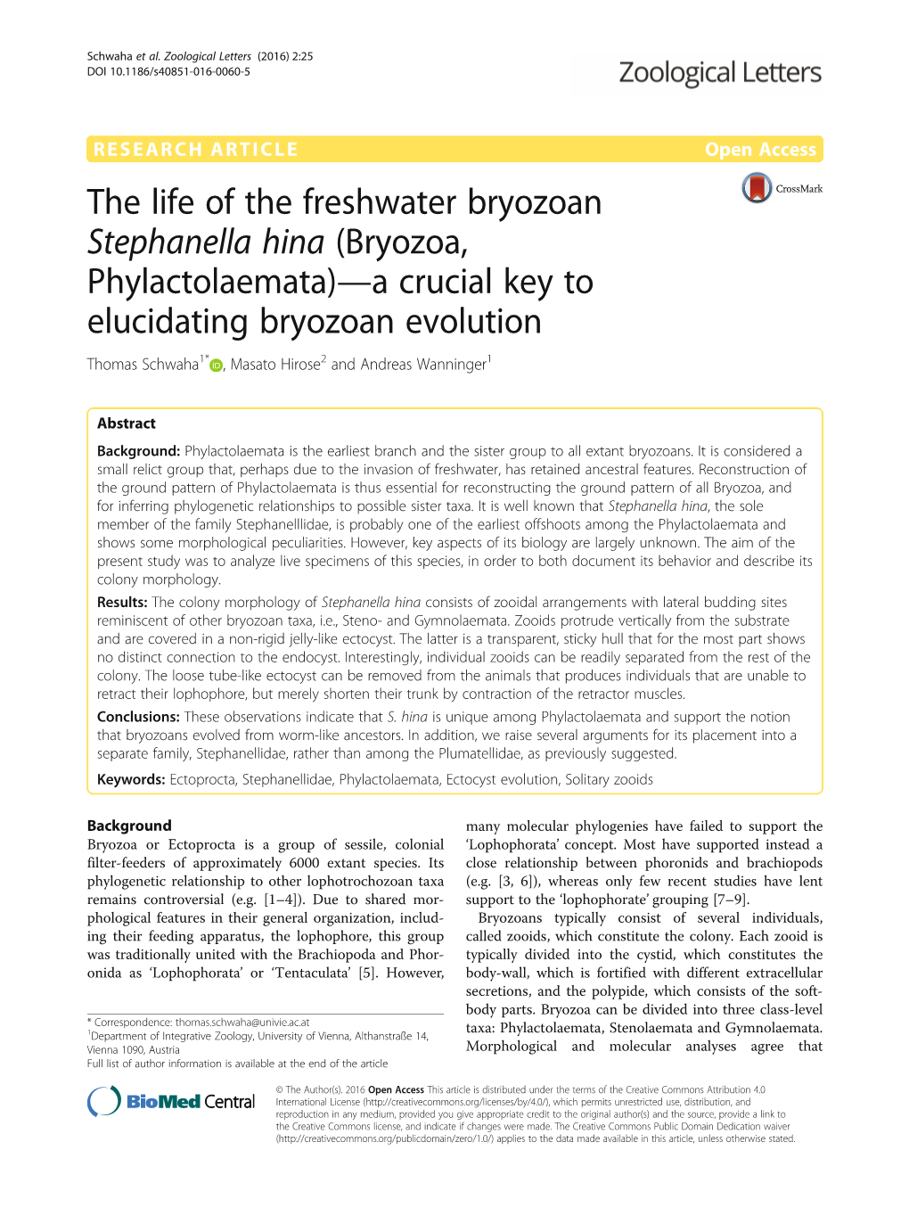 The Life of the Freshwater Bryozoan Stephanella Hina (Bryozoa, Phylactolaemata)