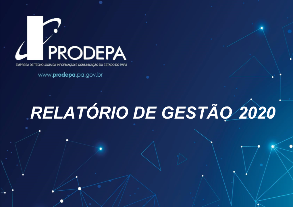 Relatório De Gestão 2020