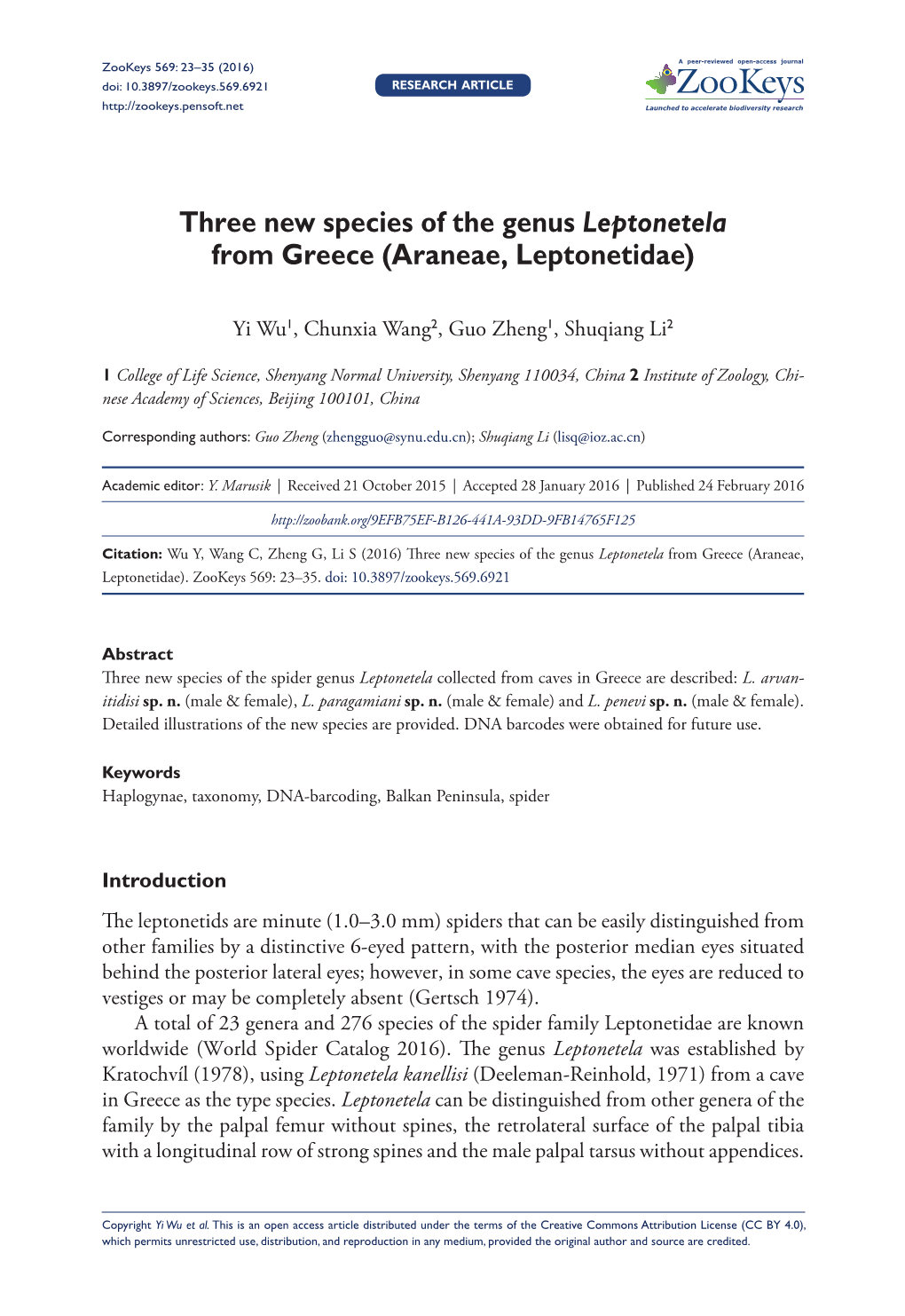 ﻿Three New Species of the Genus Leptonetela from Greece (Araneae, Leptonetidae)