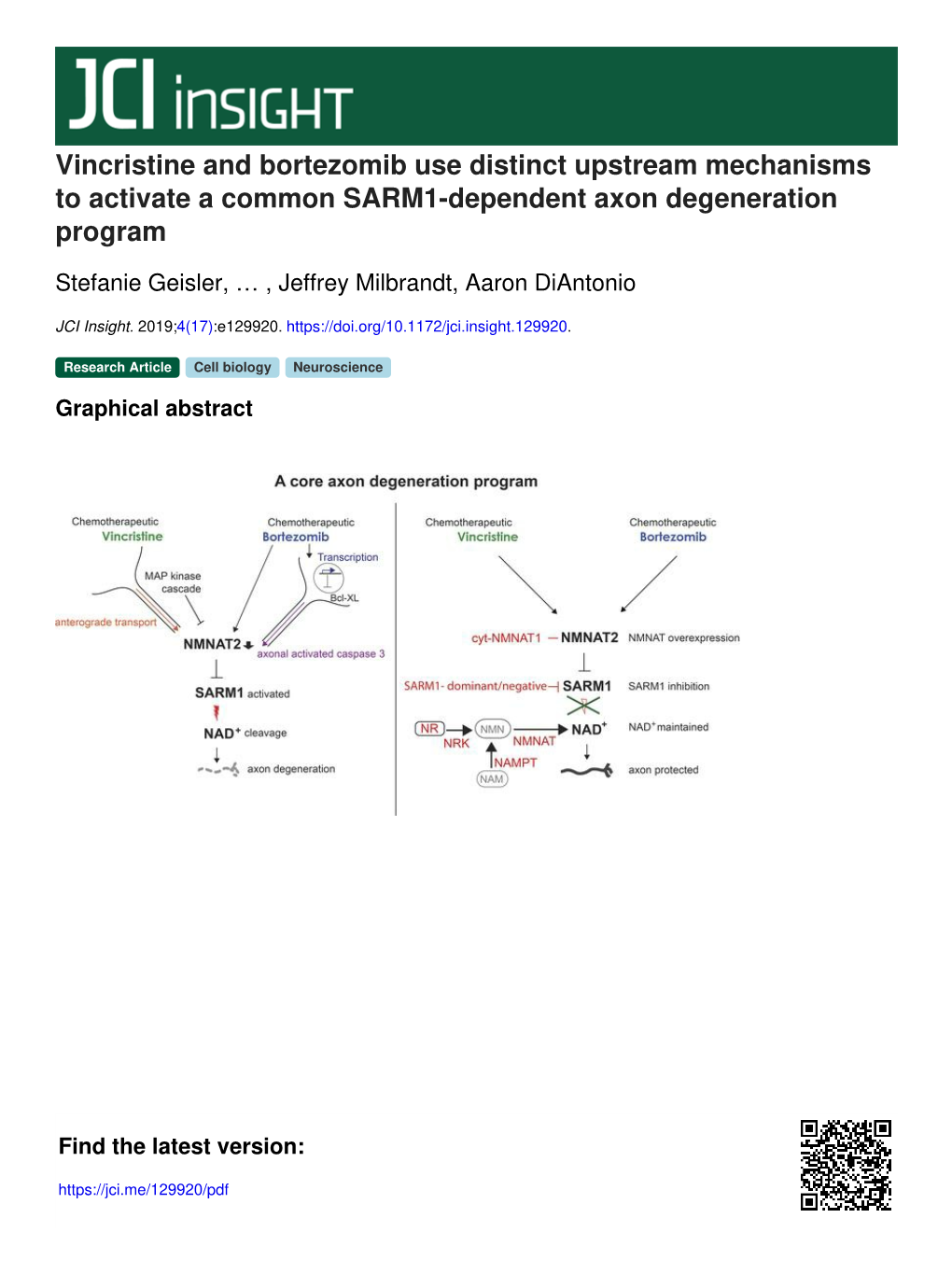 Vincristine and Bortezomib Use Distinct Upstream Mechanisms to Activate a Common SARM1-Dependent Axon Degeneration Program
