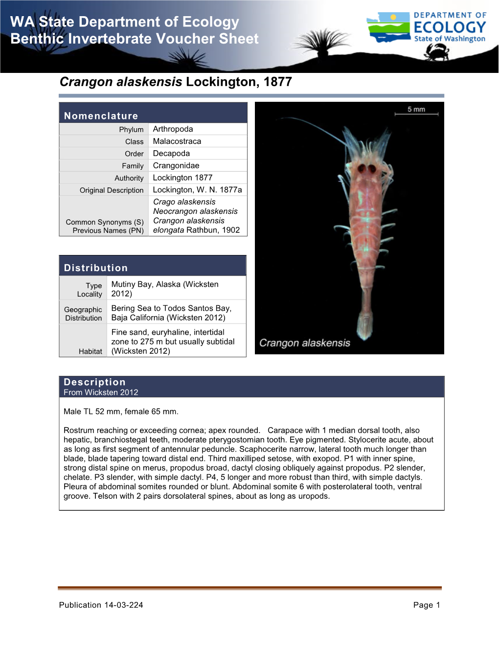 WA State Department of Ecology Benthic Invertebrate Voucher Sheet