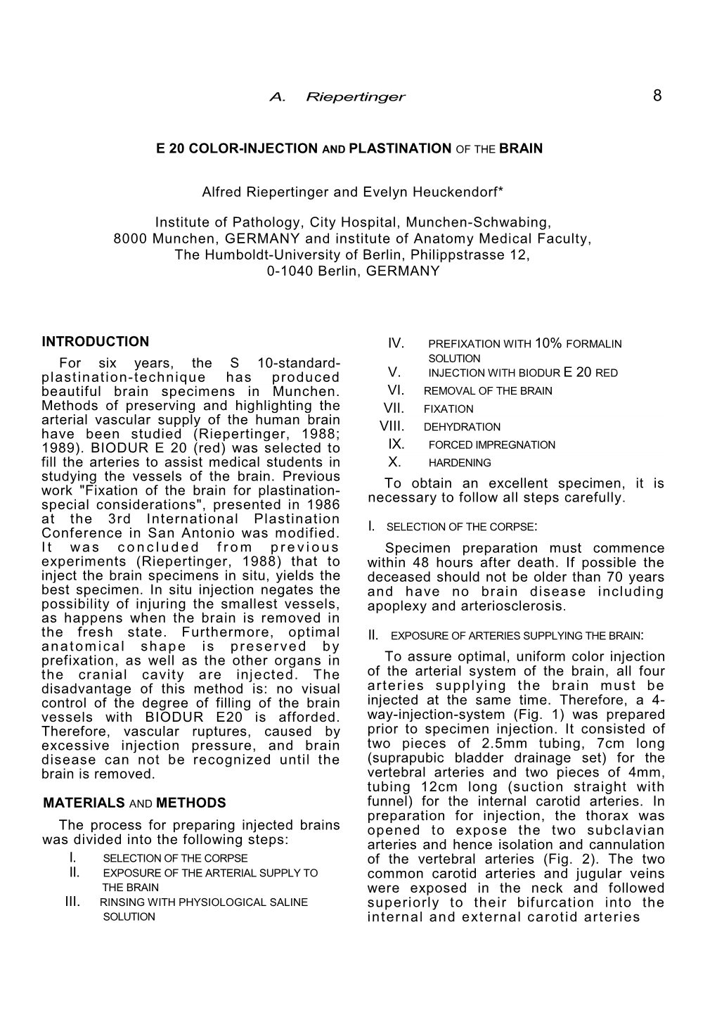 E 20 Color-Injection and Plastination of the Brain