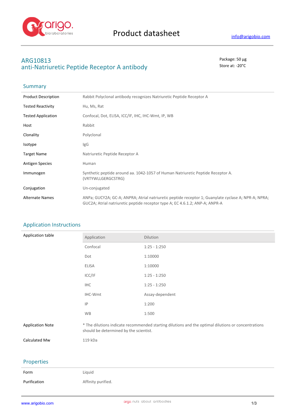 Anti-Natriuretic Peptide Receptor a Antibody (ARG10813)