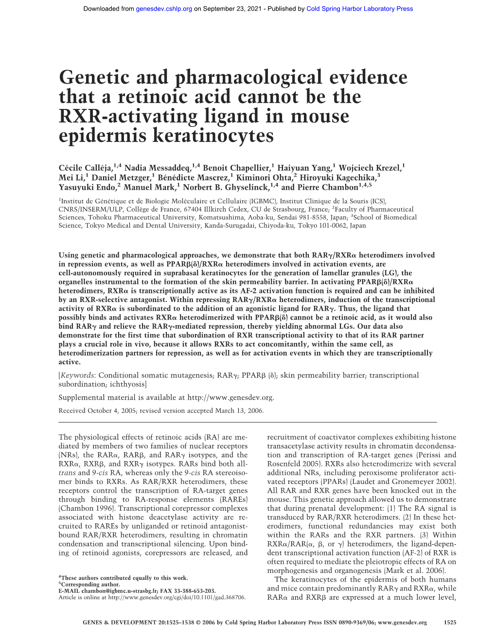 Genetic and Pharmacological Evidence That a Retinoic Acid Cannot Be the RXR-Activating Ligand in Mouse Epidermis Keratinocytes