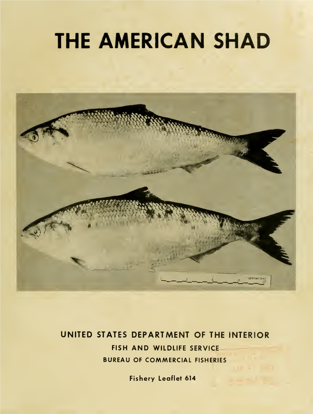 Fishery Leaflet 614 Cover