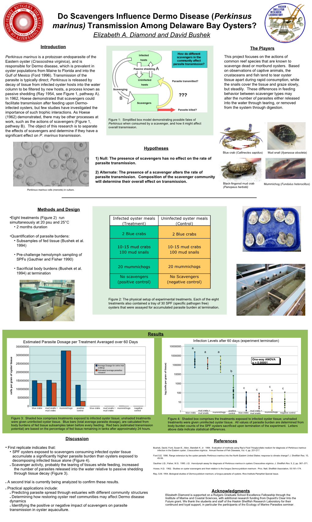 Do Scavengers Influence Dermo Disease (Perkinsus Marinus) Transmission Among Delaware Bay Oysters? Elizabeth A