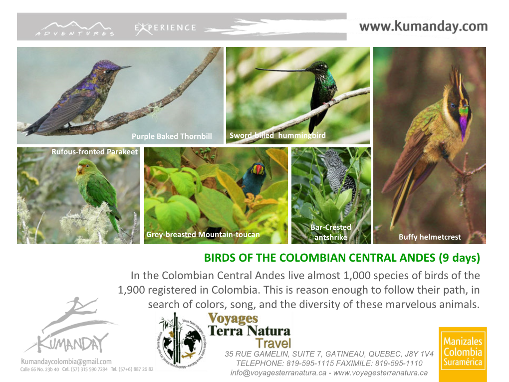 BIRDS of the COLOMBIAN CENTRAL ANDES (9 Days) in the Colombian Central Andes Live Almost 1,000 Species of Birds of the 1,900 Registered in Colombia