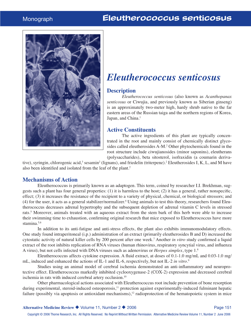 Eleutherococcus Senticosus Monograph