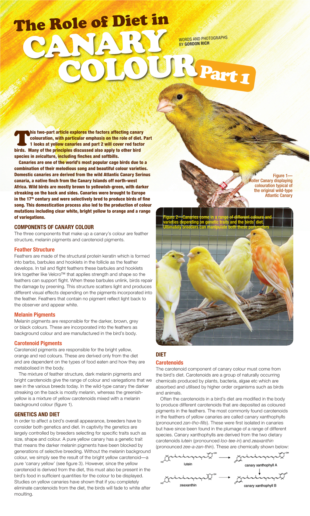Canary Colouration, with Particular Emphasis on the Role of Diet