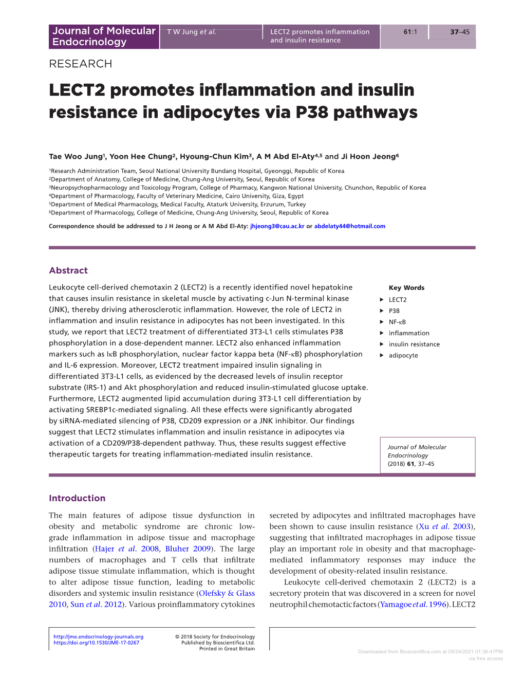 LECT2 Promotes Inflammation and Insulin Resistance in Adipocytes Via P38 Pathways