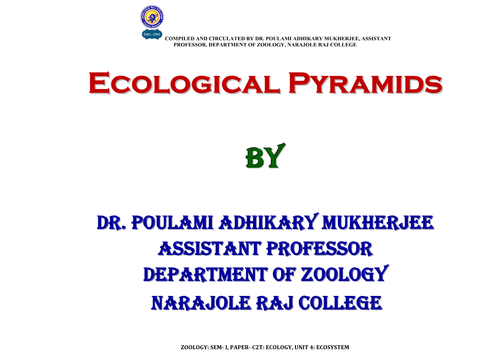 Ecological Pyramids