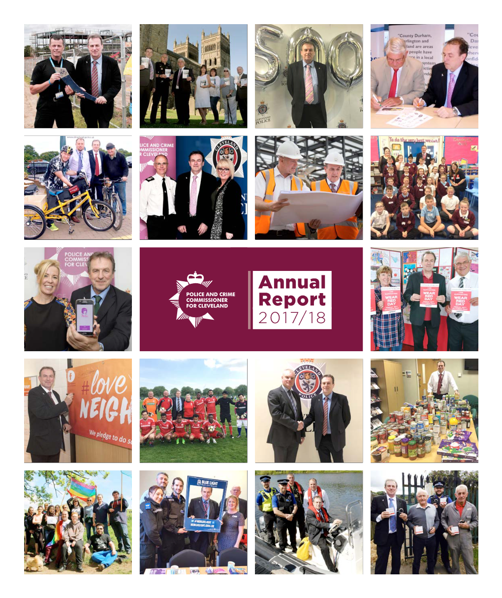 Annual Report 2017-2018