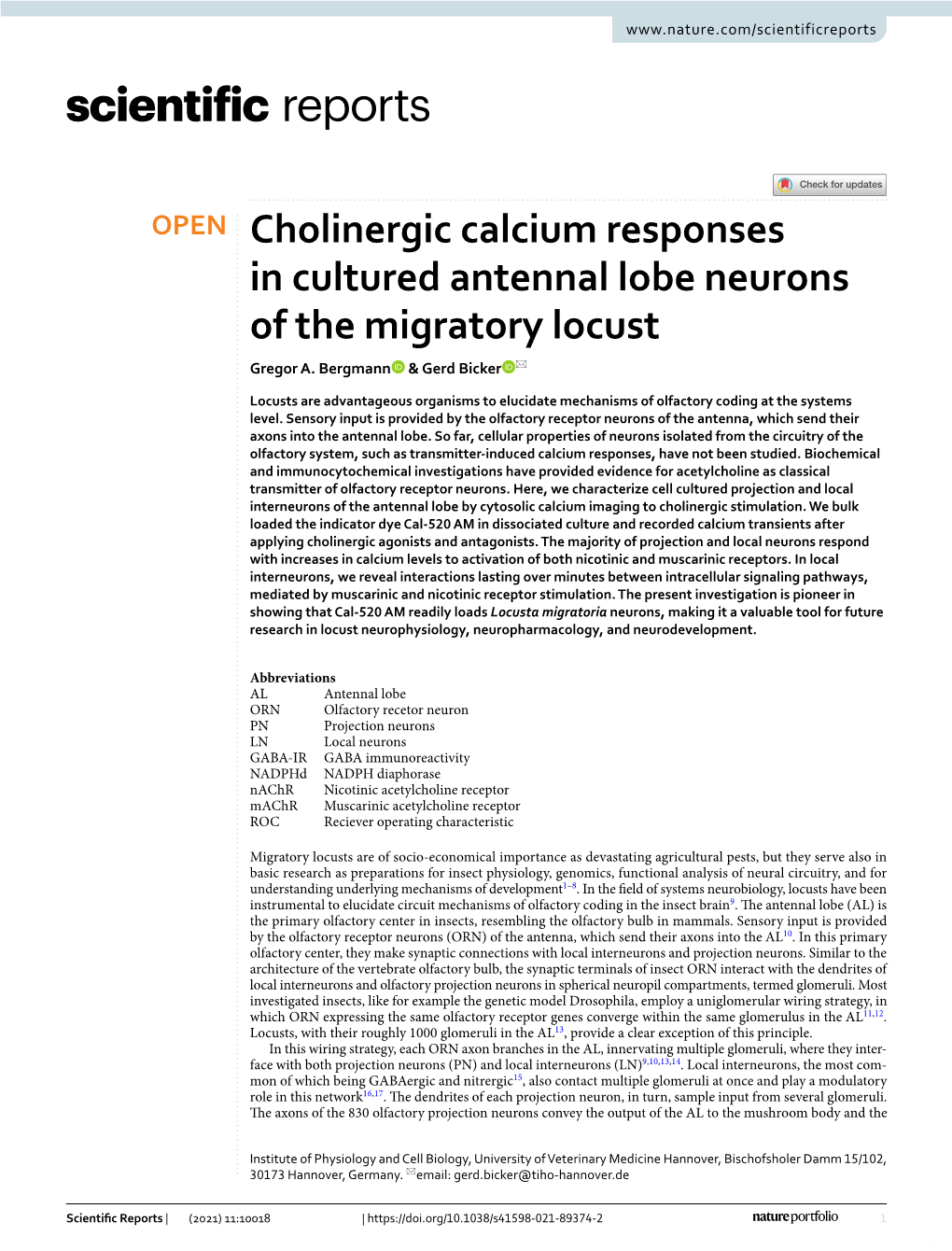 Cholinergic Calcium Responses in Cultured Antennal Lobe Neurons of the Migratory Locust Gregor A