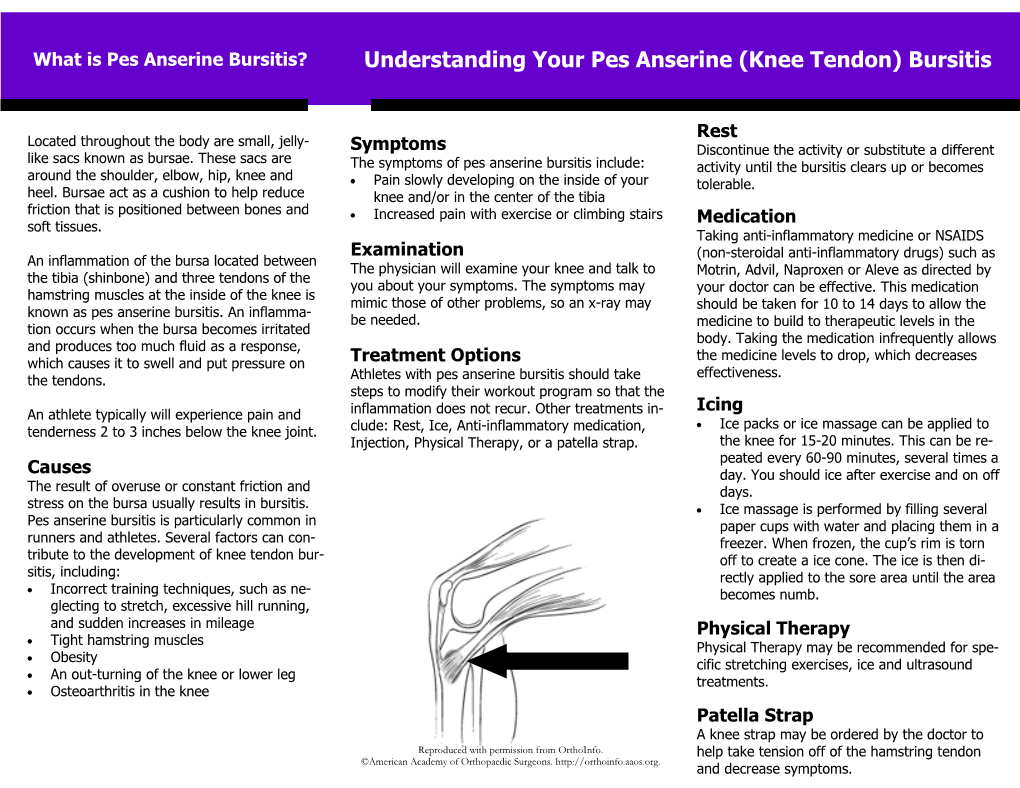 Understanding Your Pes Anserine (Knee Tendon) Bursitis