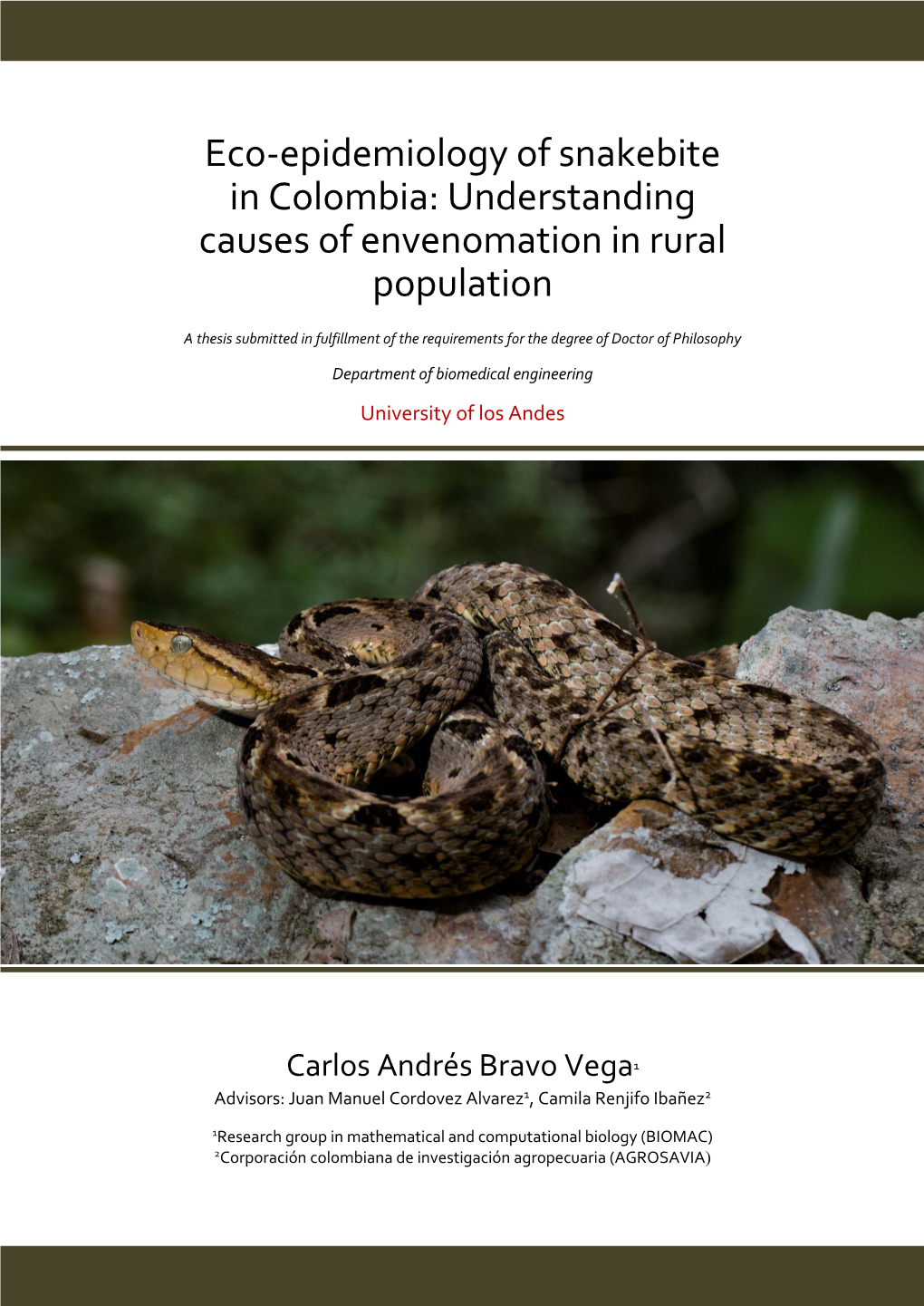 Eco-Epidemiology of Snakebite in Colombia: Understanding Causes of Envenomation in Rural Population