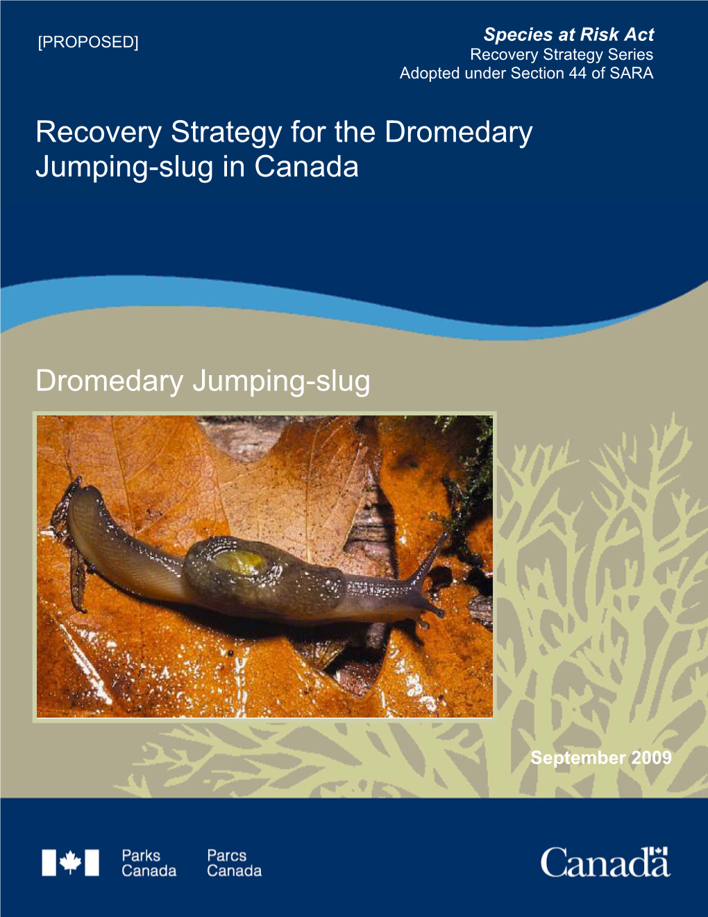 Recovery Strategy for the Dromedary Jumping-Slug in Canada