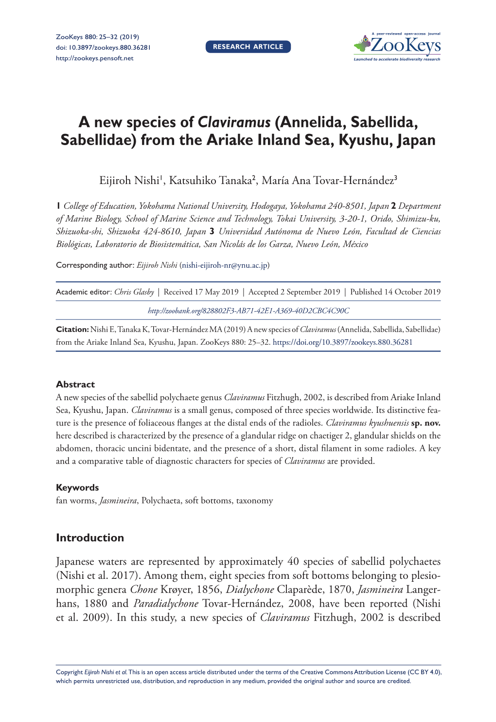 A New Species of Claviramus (Annelida, Sabellida, Sabellidae) from the Ariake Inland Sea, Kyushu, Japan