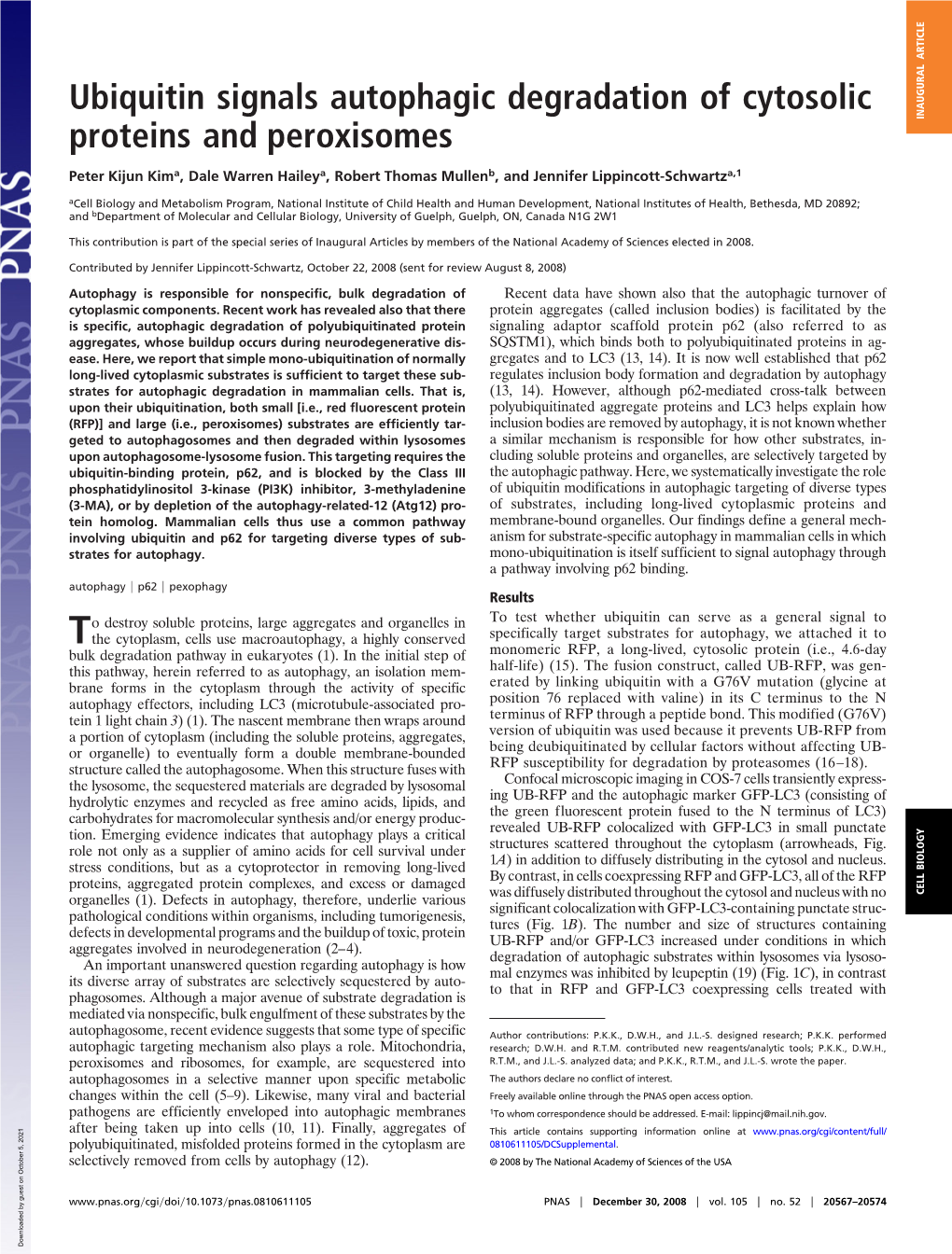 Ubiquitin Signals Autophagic Degradation of Cytosolic Proteins and Peroxisomes