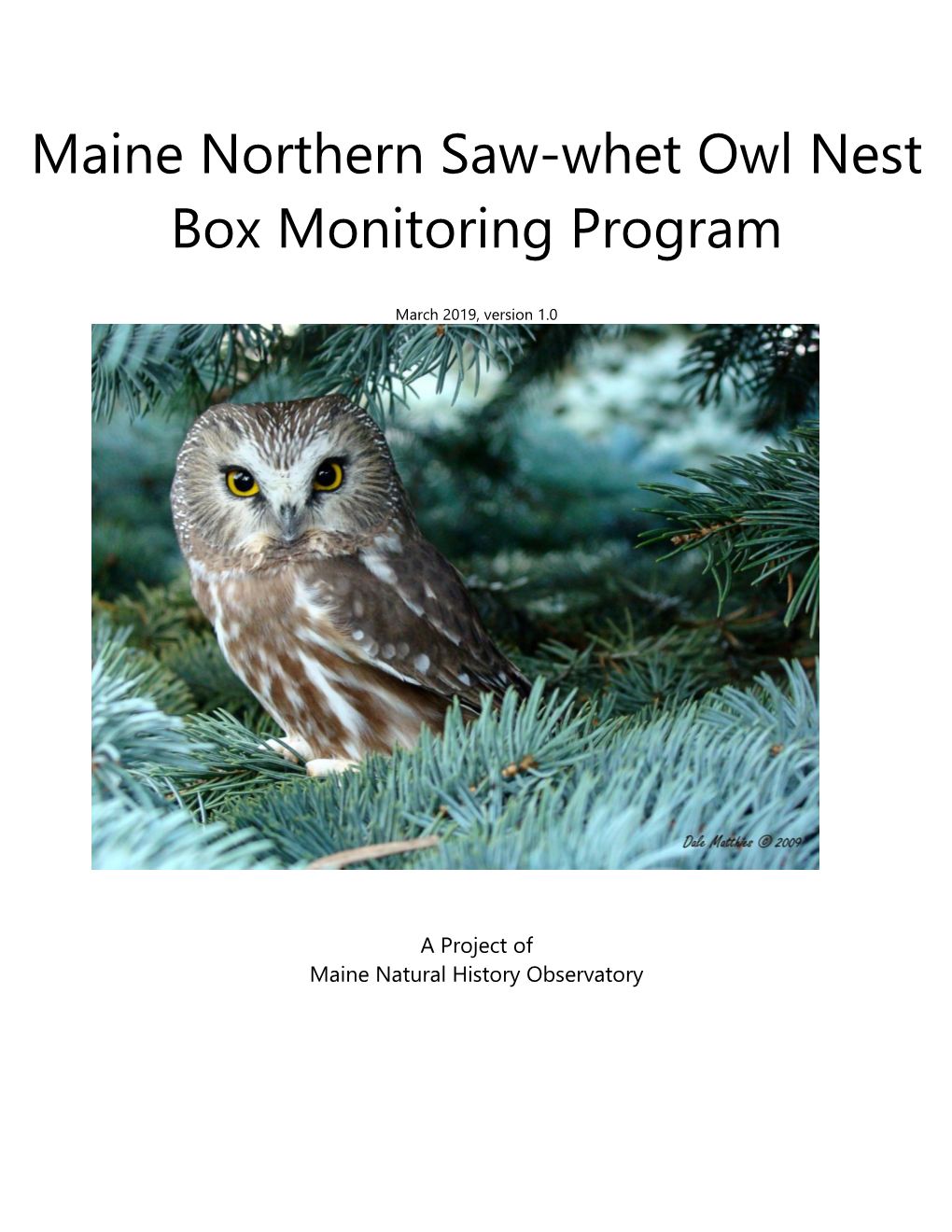 Maine Northern Saw-Whet Owl Nest Box Monitoring Program