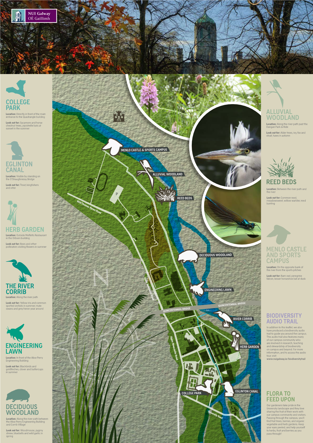 Eglinton Canal the River Corrib Engineering Lawn Deciduous Woodland College Park Herb Garden Reed Beds Menlo Castle and Sport