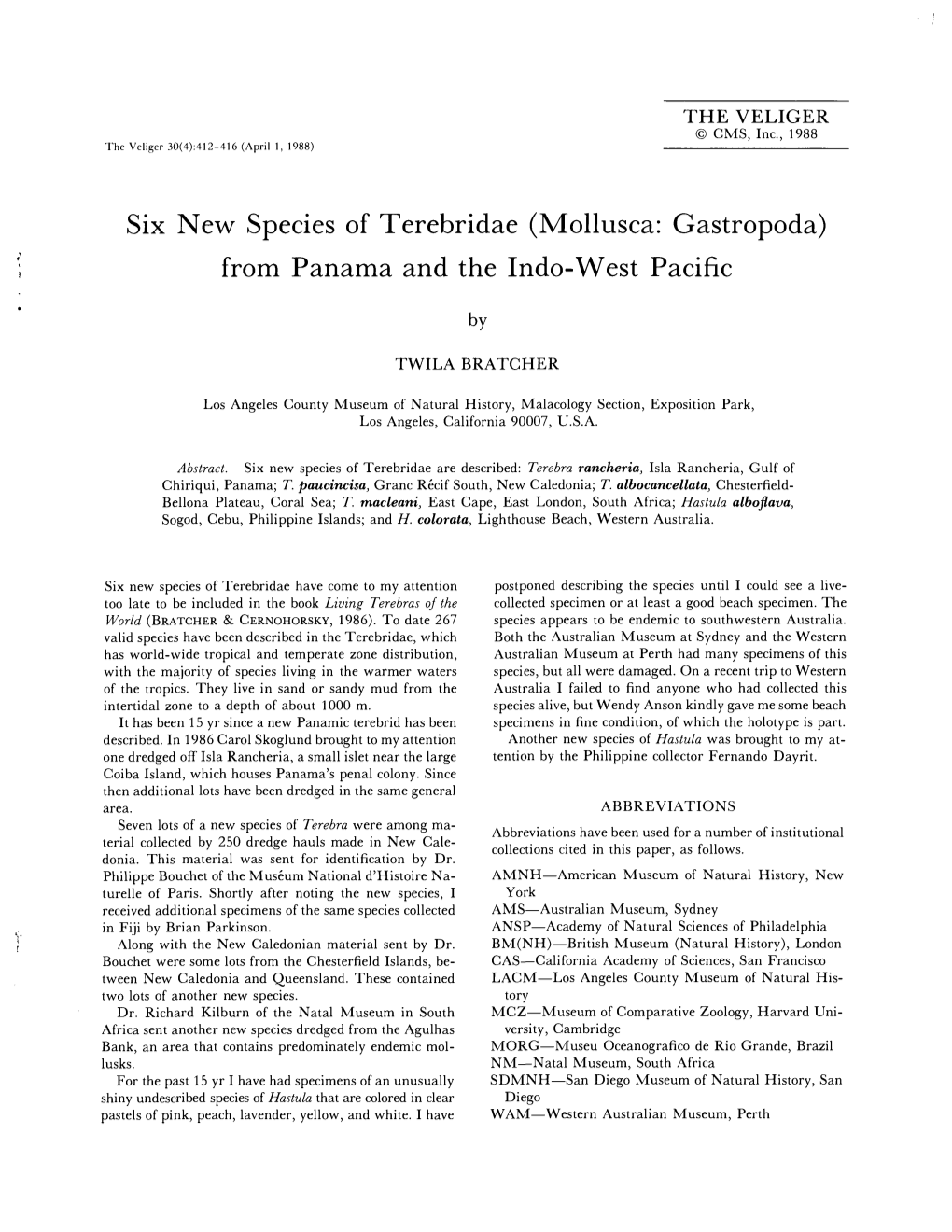 Six New Species of Terebridae (Mollusca: Gastropoda) from Panama and the Indo-West Pacific