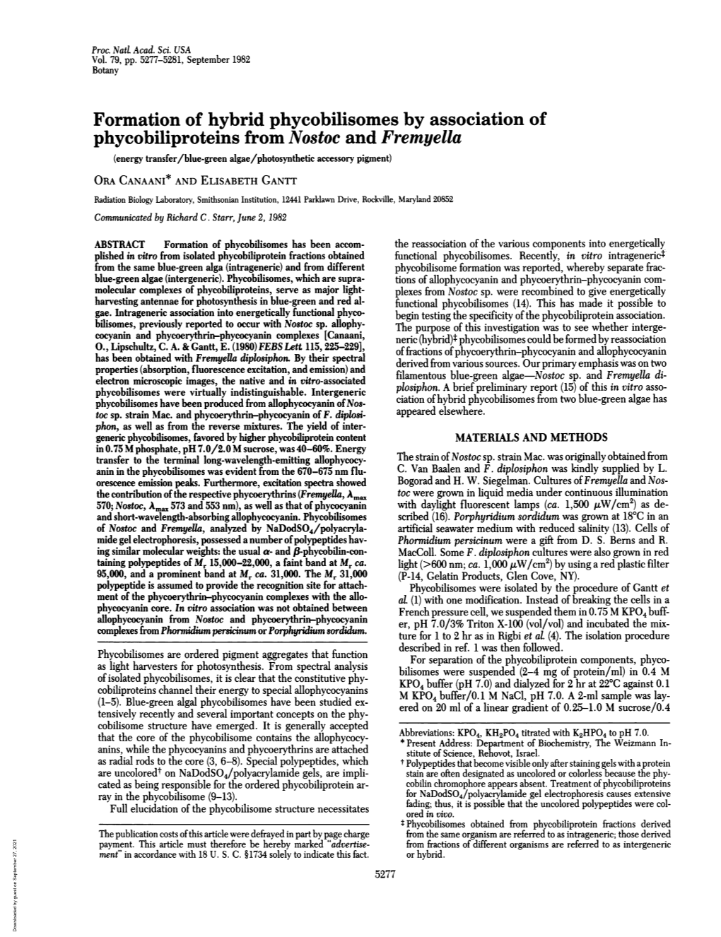 Formation of Hybrid Phycobilisomes by Association Of