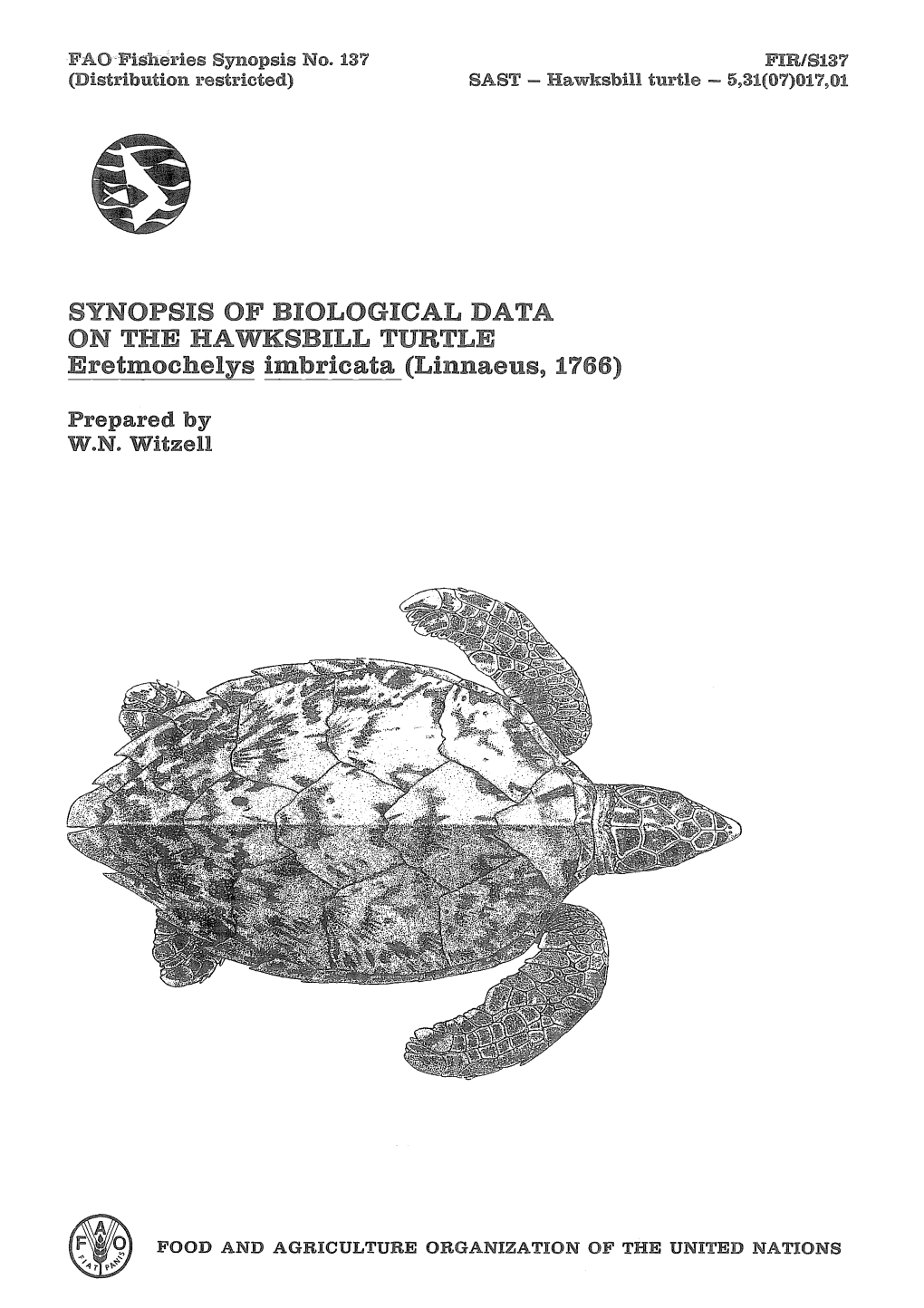 SYNOPSIS of BIOLOGICAL DATA on the HAWKSBILL TURTLE Eretmochelys Imbricata (Linnaeus, 1766)