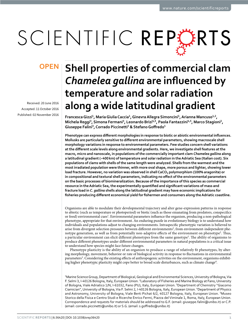 Shell Properties of Commercial Clam Chamelea Gallina Are Influenced By