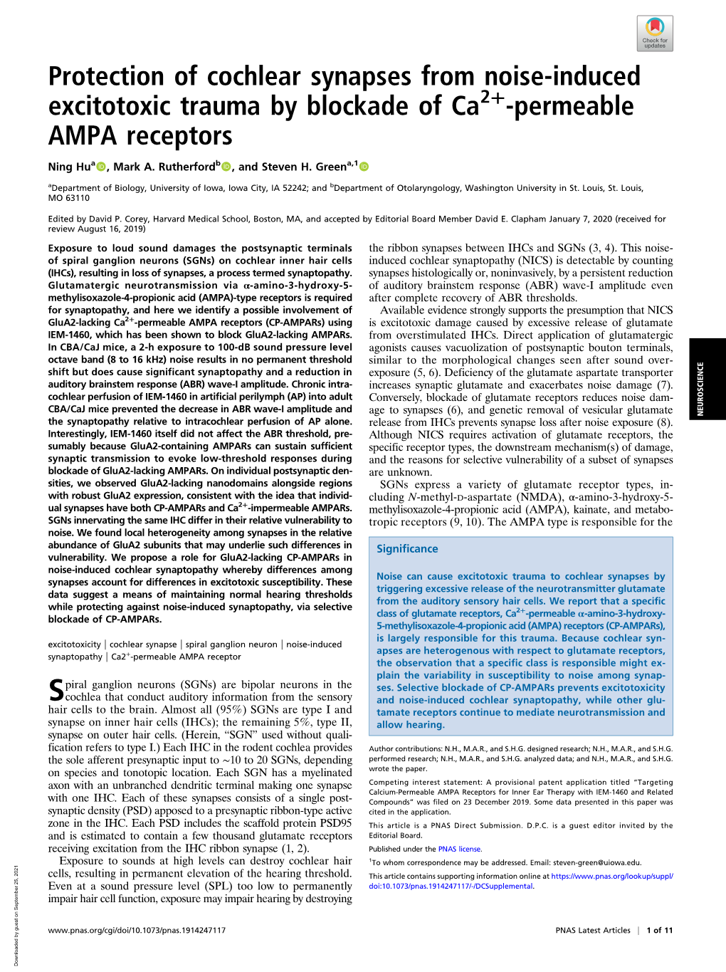 Protection of Cochlear Synapses from Noise-Induced Excitotoxic Trauma by Blockade of Ca2+-Permeable AMPA Receptors