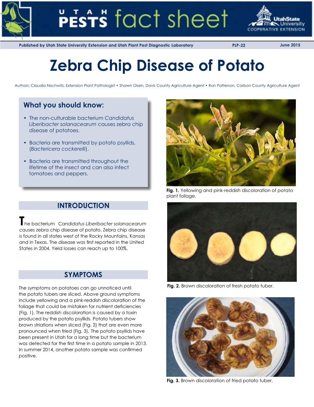 Zebra Chip Disease of Potato