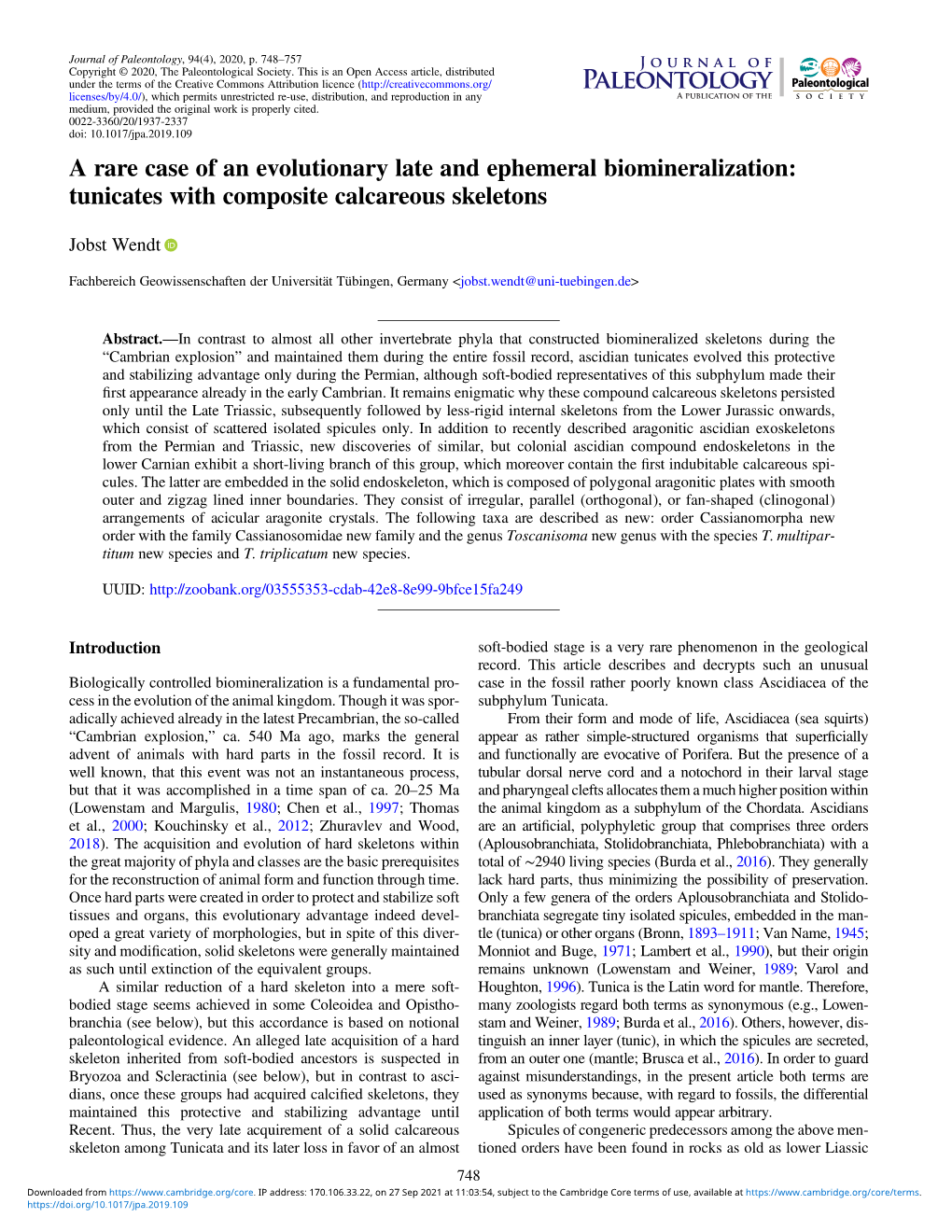 A Rare Case of an Evolutionary Late and Ephemeral Biomineralization: Tunicates with Composite Calcareous Skeletons