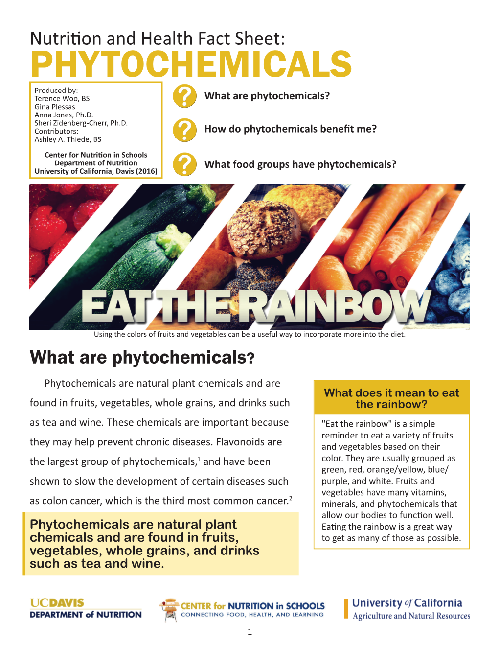 PHYTOCHEMICALS Produced By: Terence Woo, BS What Are Phytochemicals? Gina Plessas Anna Jones, Ph.D