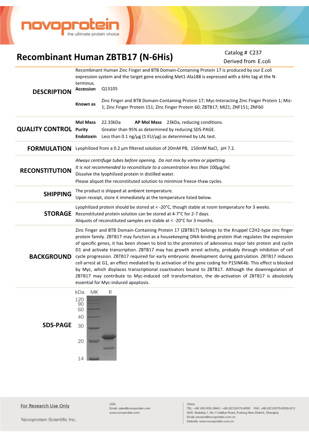 Recombinant Human ZBTB17 (N-6His)