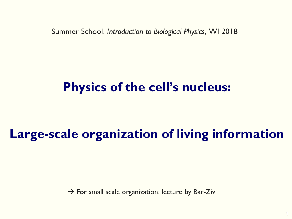 Physics of the Cell's Nucleus