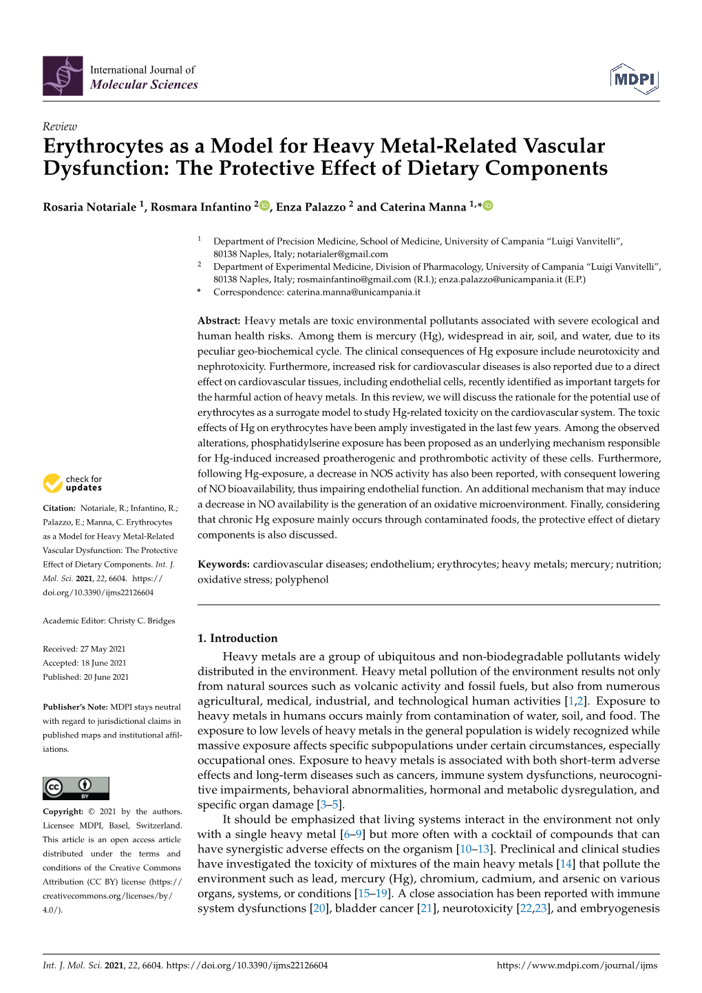 Erythrocytes As a Model for Heavy Metal-Related Vascular Dysfunction: the Protective Effect of Dietary Components