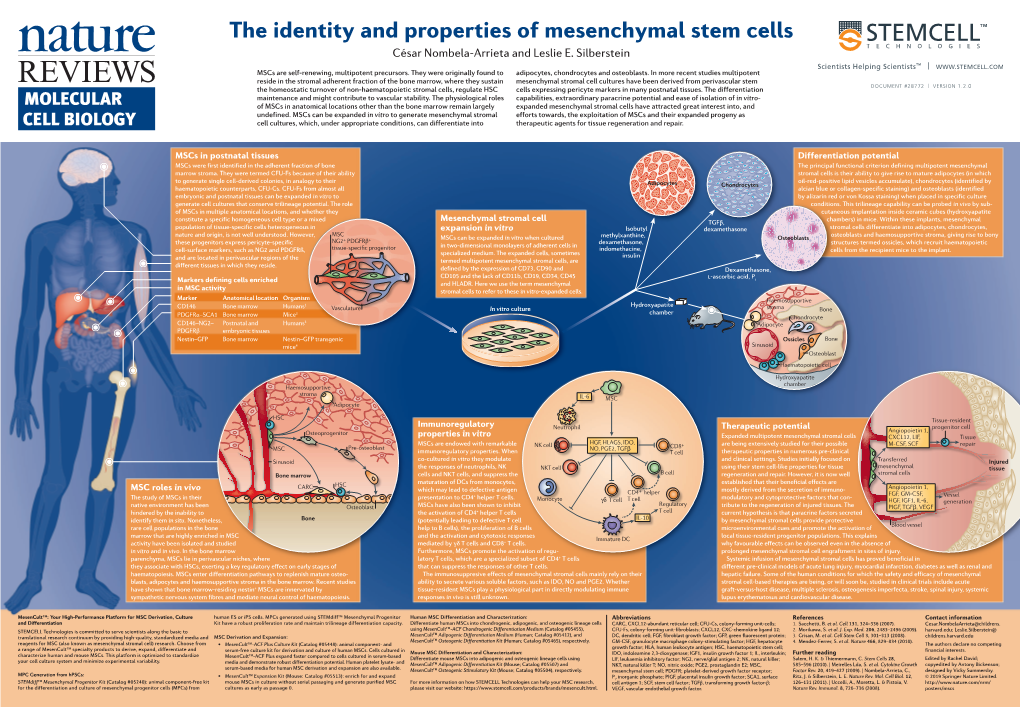 The Identity and Properties of Mesenchymal Stem Cells César Nombela-Arrieta and Leslie E