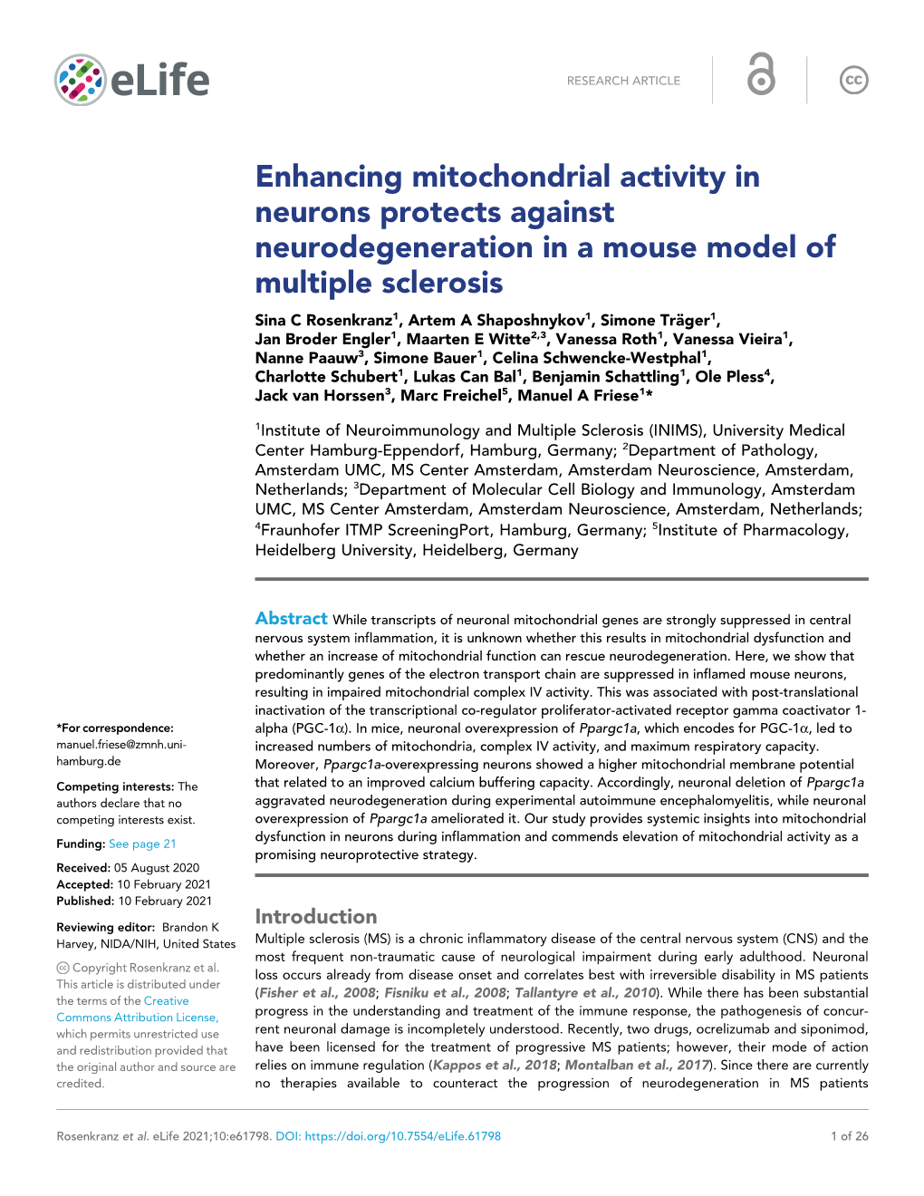 Enhancing Mitochondrial Activity in Neurons Protects Against