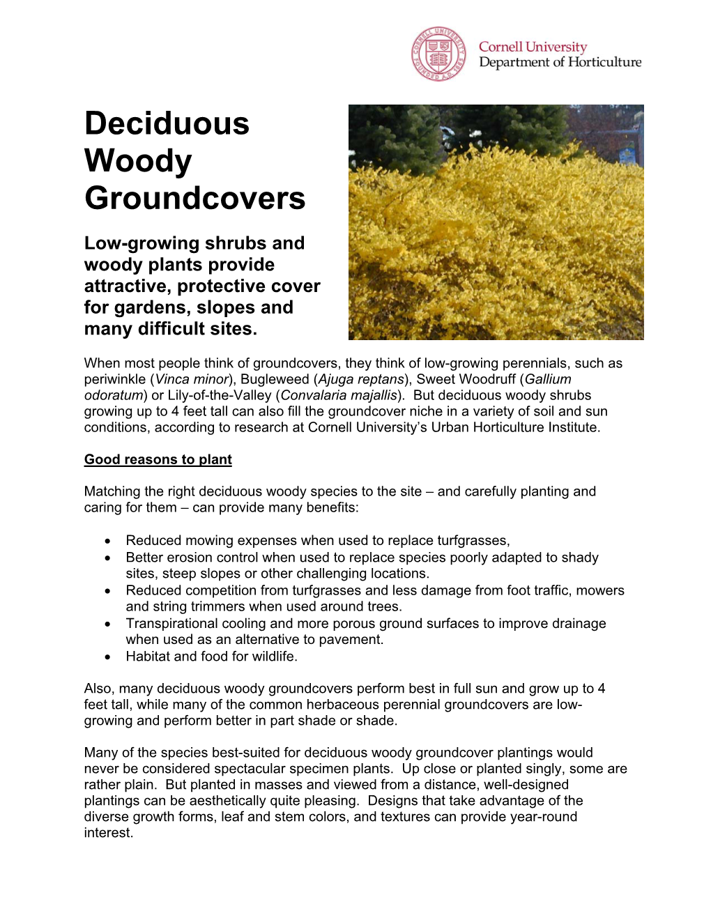 Deciduous Woody Groundcovers, Page 1