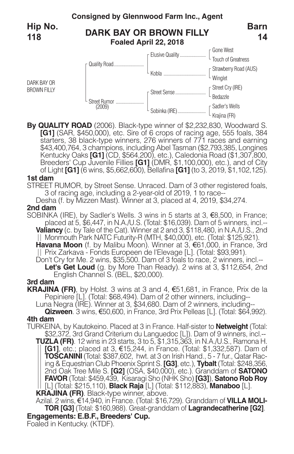 DARK BAY OR BROWN FILLY Barn 14 Hip No