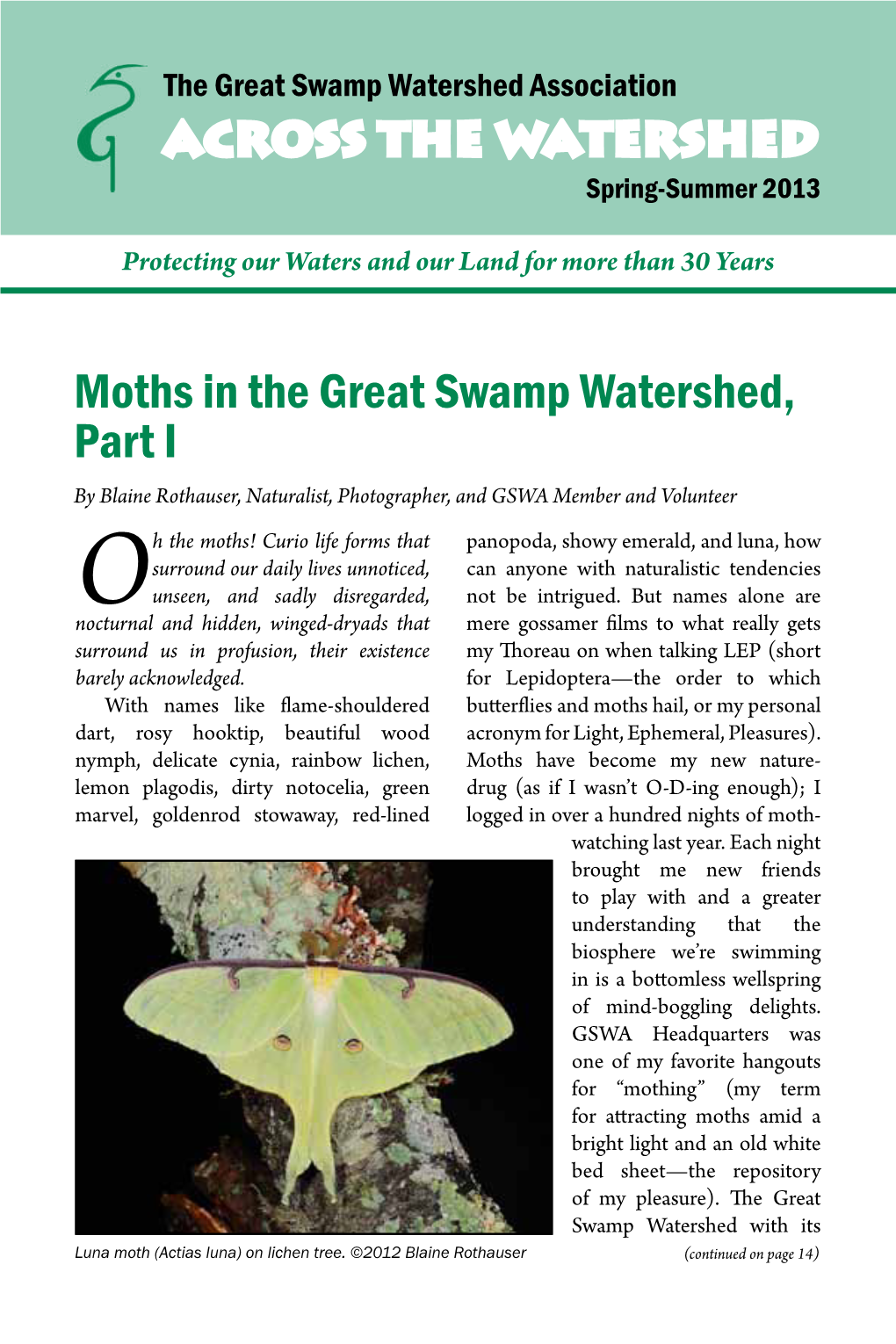 Moths in the Great Swamp Watershed, Part I