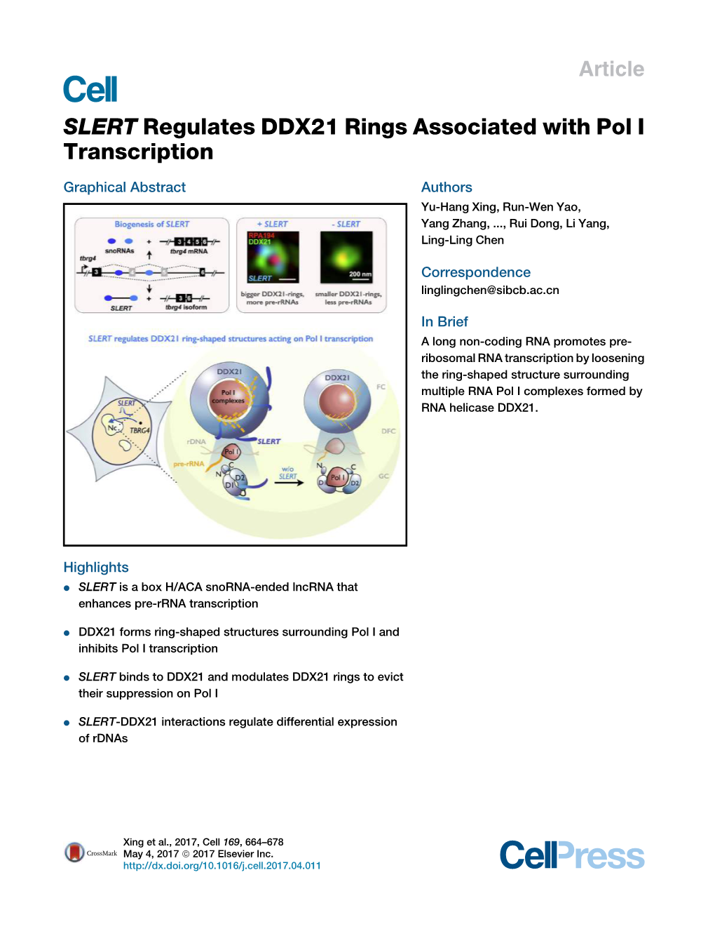 SLERT Regulates DDX21 Rings Associated with Pol I Transcription