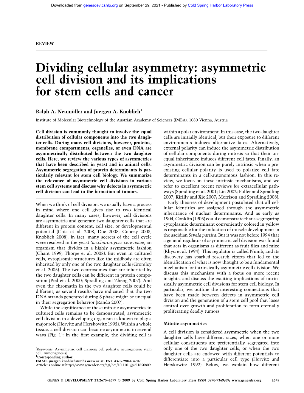 Asymmetric Cell Division and Its Implications for Stem Cells and Cancer