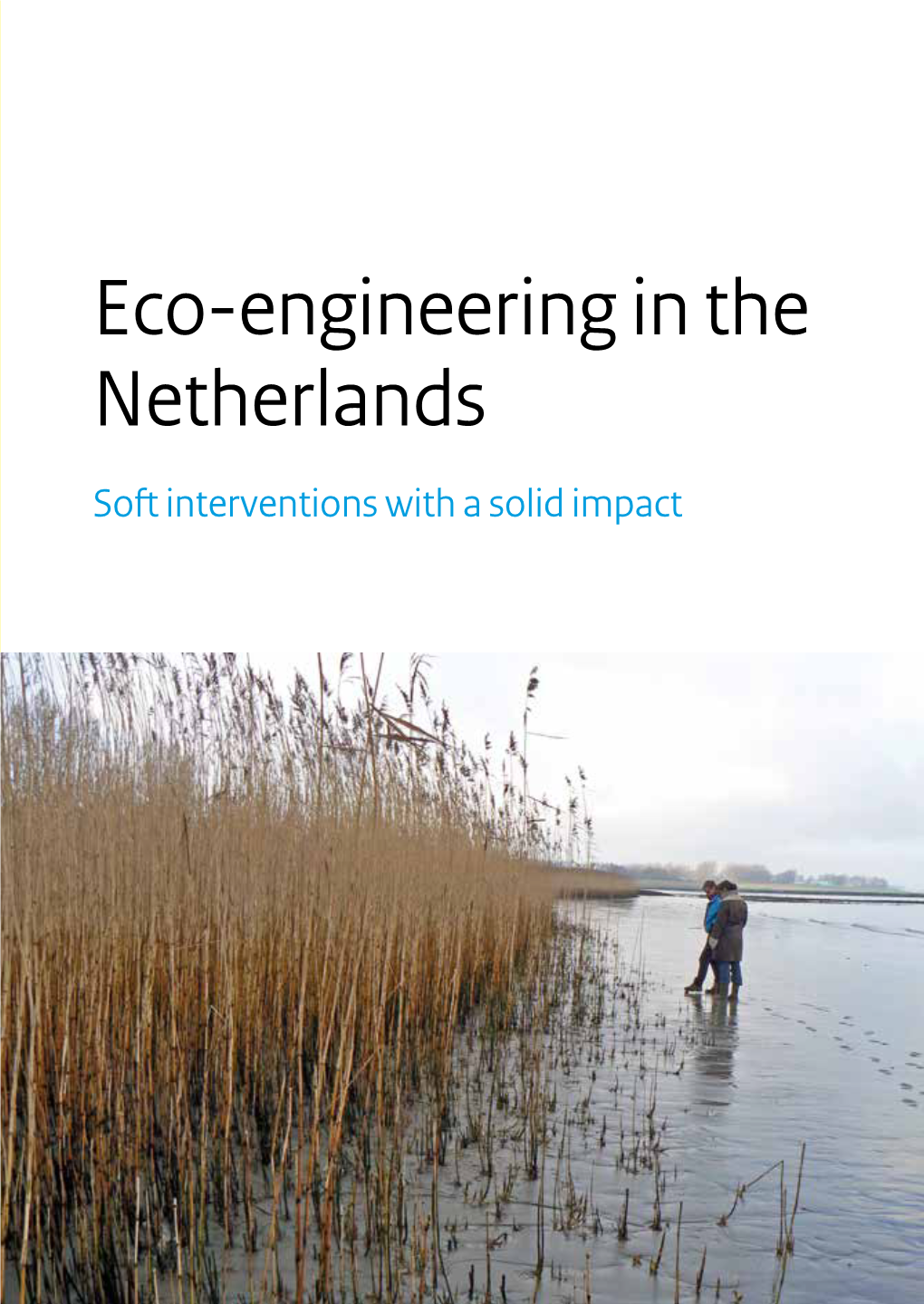Eco-Engineering in the Netherlands Soft Interventions with a Solid Impact 2 | Rijkswaterstaat and Deltares Contents