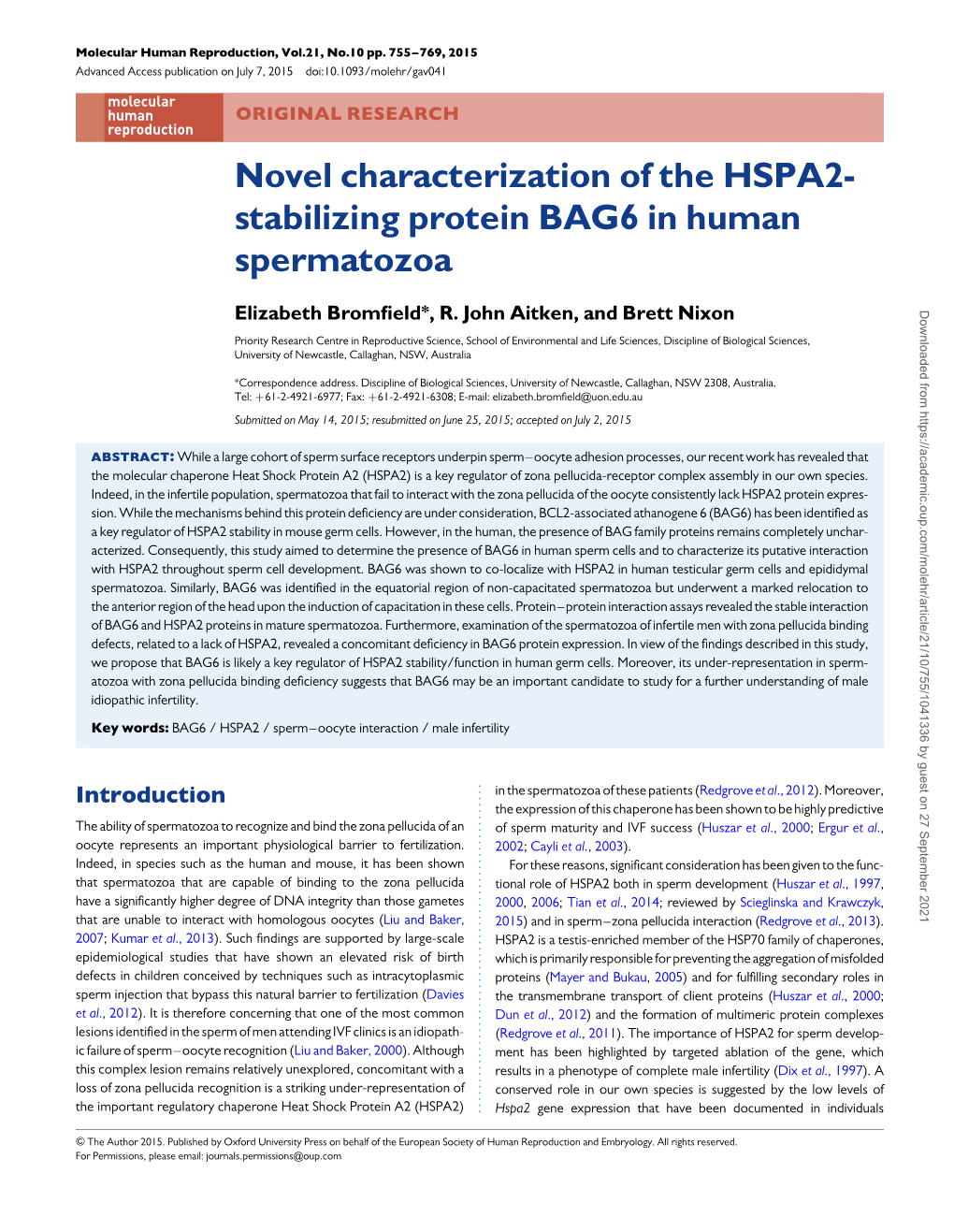 Novel Characterization of the HSPA2- Stabilizing Protein BAG6 in Human Spermatozoa